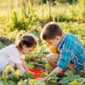 How to Be More Eco-Conscious in Your Daily Habits